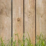 Why Choose a Cedar Fence