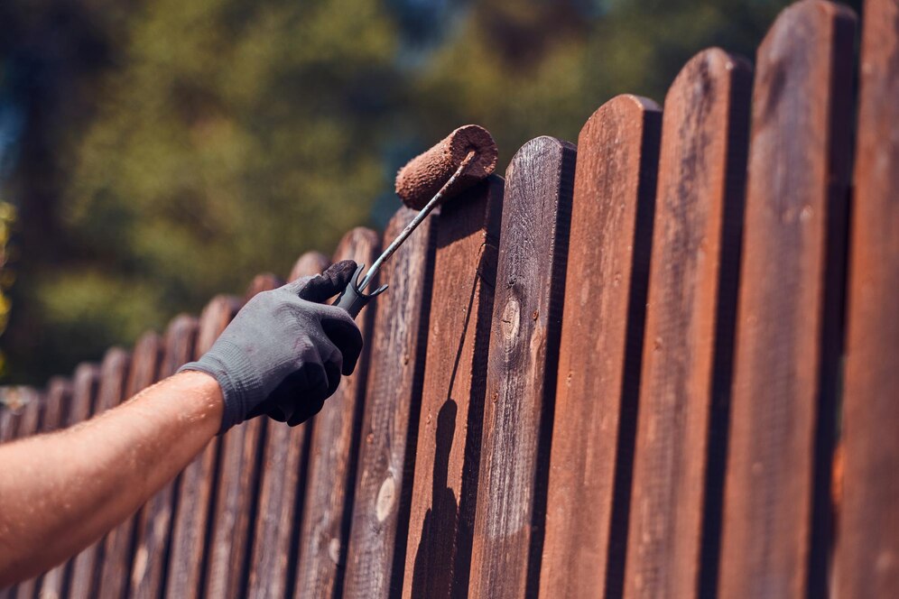 Backyard Fence