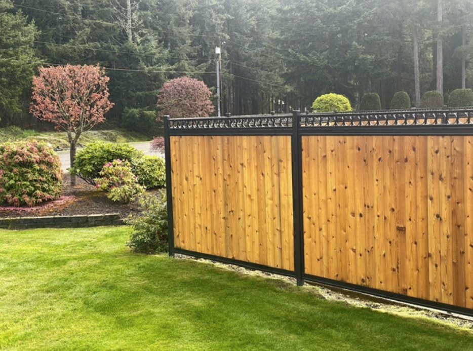 inexpensive privacy fence ideas