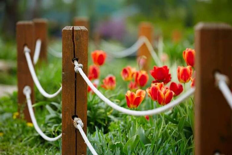 Privacy Rope 21 Inexpensive Privacy Fence Ideas: Cost & Guide