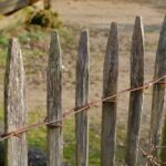 Design Inspirations: Transforming Gardens with Cattle Panel Fences
