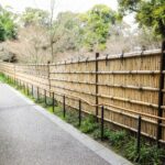Post and Rail Fence: A Timeless & Functional Fencing Solution