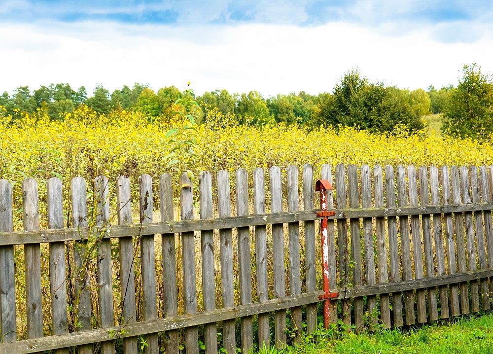 Cedar Split Rail Fence