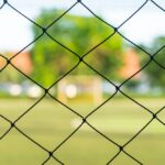 Chain Link Fence vs Wood Fence: Which Is More Affordable?