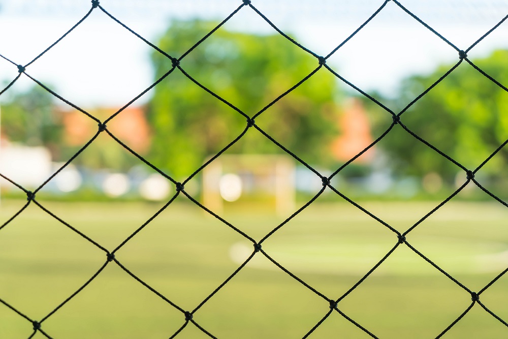 Chain Link Fence vs Wood Fence
