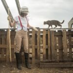8 Signs It’s Time to Replace Your Old Fence