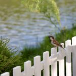 Do You Need a Permit to Build a Fence? Here’s What the Rules Actually Say