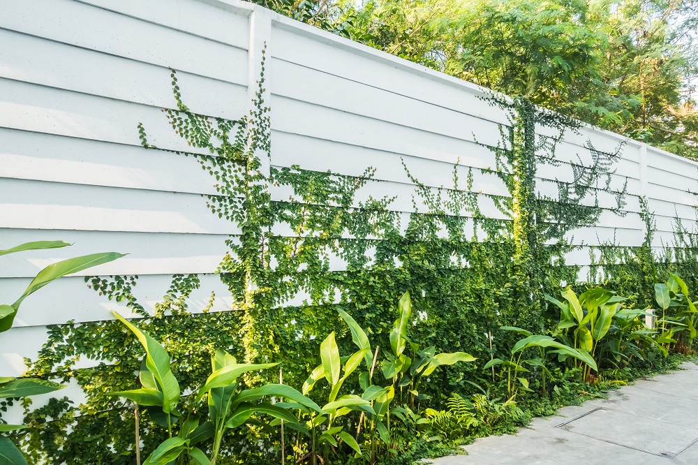 Fence Cost Per Foot