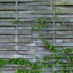 Horizontal Fence Guide: Styles, Cost, and Installation