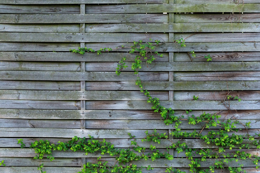 Horizontal Fence